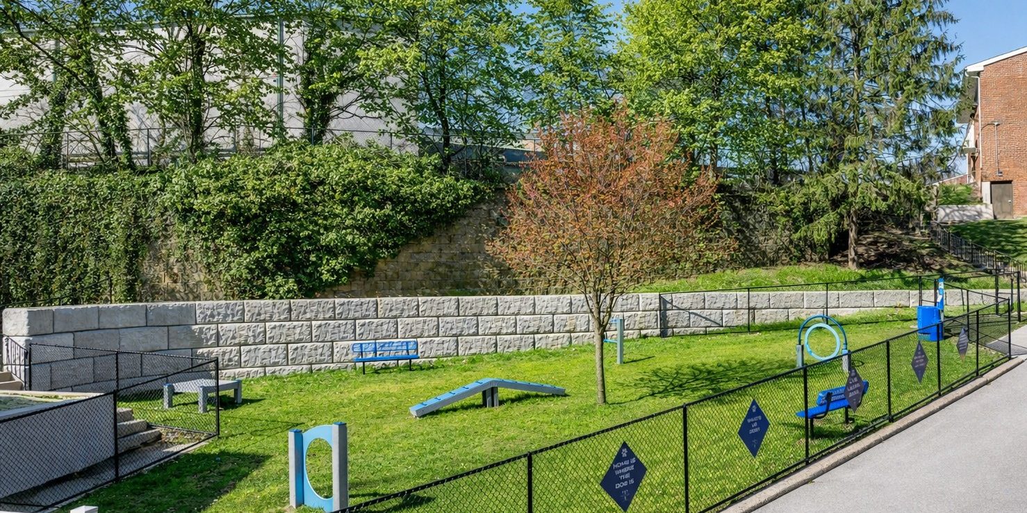 6562eca2-73d5-491a-803d-d23892f0f990